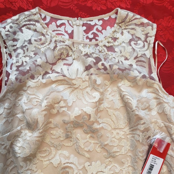 Carmen Marc Valvo Infusion Foiled Lace Shift Dress - Picture 3 of 7